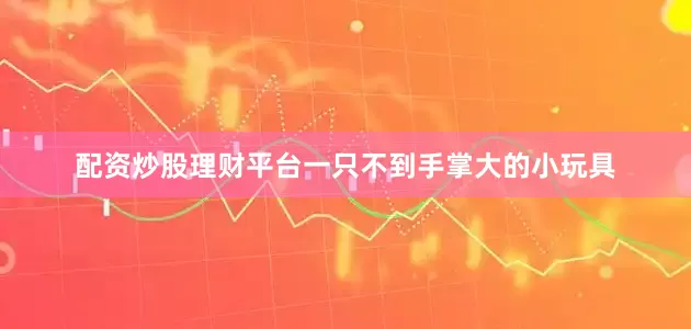 配资炒股理财平台一只不到手掌大的小玩具
